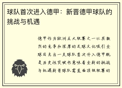 球队首次进入德甲：新晋德甲球队的挑战与机遇