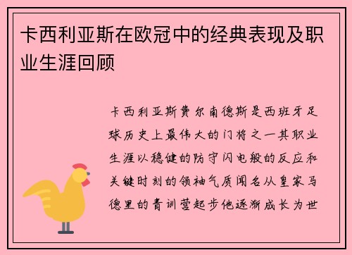 卡西利亚斯在欧冠中的经典表现及职业生涯回顾