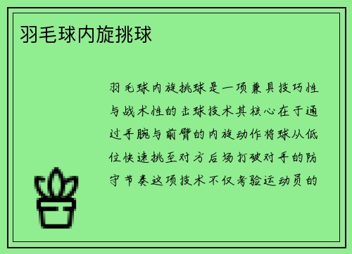 羽毛球内旋挑球